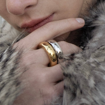 The Ring: gold + silver - Neeka Studios